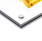 Kodak Dream Acrylic print