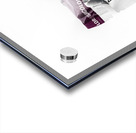 Fuji Dream  Acrylic print