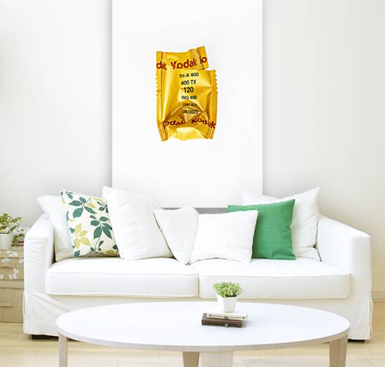 Kodak Dream Reproduction